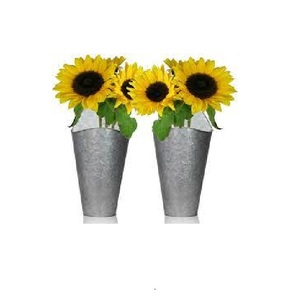 Macetas de pared galvanizadas de diseño clásico de Venta caliente logotipo de forma de tamaño personalizado maceta de la mejor calidad usos en el jardín del hogar - Product Image 6