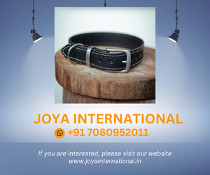 Collar clásico para perro, 20mm, negro - Product Image 2