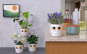 Aqualean-maceta de búho para nieve, tamaño mediano y pequeño - Product Image 3