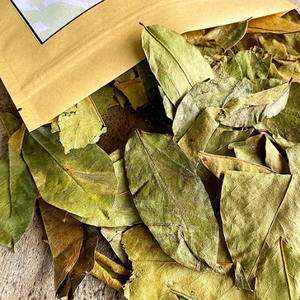 Hojas de Guanábana Secas Orgánicas |   Annona Muricata |   Gunabana |   Té de Hojas Sueltas Premium - Product Image 5