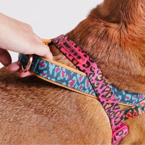 Arneses de Lujo para Perros Norwegian Softer-Walk, Colección Farm Rio Selva, Tallas Pequeña, Mediana y Grande, Arnés de Poliéster Moderno para Pasear Perros - Product Image 2