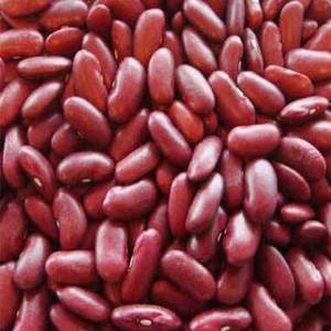 Haricots rouges riches en nutriments, non OGM, bon marché, haricots rouges britanniques en vente - Product Image 1