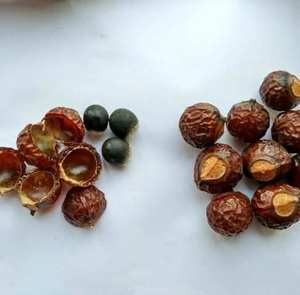 Savon naturel à base de plantes séchées, savon aux noix, ingrédient de saponine pour shampooing, soins de la peau et soins personnels, pour utilisation comme détergent de cuisine - Product Image 5