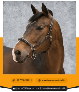 เชือกคล้องคอลายม้าขี่ม้าแบบอังกฤษเย็บตามหลักสรีรศาสตร์ดีไซน์หนังน้ำหนักเบาออกแบบได้ตามต้องการ OEM - Product Image 4