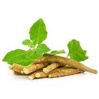 Vente en gros Capsule d'extrait d'Ashwagandha de supplément à base de plantes avec emballage de marque privée d'Inde