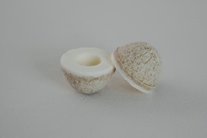 High Quality Light Brown and White Hard Coconut Tablet <b>Candy</b> from Vietnam Supplies Coconut Shell Hard <b>Candy</b> - Product Image 3