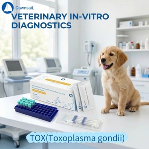 Suministros Veterinarios, Cuidado de la Salud de las Mascotas, Prueba de Toxoplasma, Analizador Cuantitativo Inmunológico, Prueba Rápida TOX para Perros y Gatos - Product Image 2