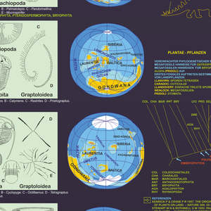 Living Planet German DIN A1 <b>Poster</b> Made of Paper for Wall Usage - Product Image 3