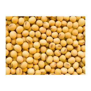 Soja orgánica de alta calidad (soja/soja) sin OGM y sin OGM, soja seca y empaquetada a granel a la venta - Product Image 5