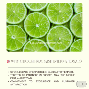 Suministro de fábrica IQF Frozen Lime sin semillas Origen de Vietnam Exportación a granel - Product Image 5