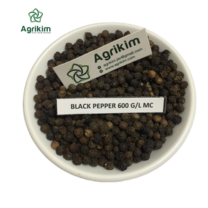 (Échantillon Gratuit) Poivre Noir Épicé Biologique Naturel Marque Agrikim Vietnam 1000kg en Vrac Durée de Conservation de 2 Ans +84399521266 - Product Image 1