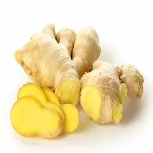 FRESH GINGER HIGH QUALITY CHEAP PRICE FROM USA