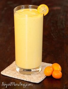 Délicieux jus de kumquat rafraîchissant et vibrant jus de kumquat congelé biologique certifié pur et nourrissant - Product Image 2