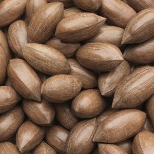 Nueces de Pecán Orgánicas Secas, Mezcla de Calidad Premium, Nueces Enteras a Granel para Procesamiento de Alimentos, en Venta - Product Image 1