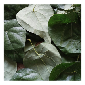 เยลลี่เขียวหญ้าแห้งพุดดิ้งเจลลี่หญ้าสีเขียวผลิตภัณฑ์ทางการเกษตร - Product Image 5