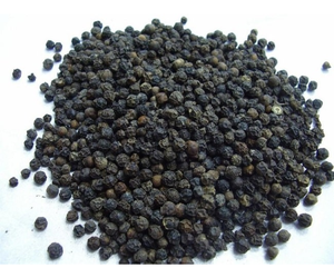 VENTE CHAUDE 2024 D'EXPORTATION DE POIVRE NOIR ENTIER BON PRIX SUR LE MARCHÉ DU VIET NAM - Product Image 4