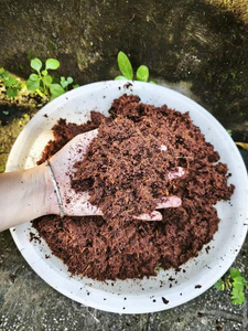 Bloque de turba de coco LAVADO DE Primera calidad-Medio de cultivo de coco 100% natural de Eco2go Vietnam - Product Image 6