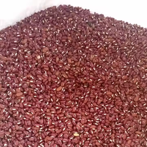 HABA DE SOJA ROJA 10-50 KG 2 años de vida útil Almacenamiento de bolsas de PP de origen indonesio - Product Image 1