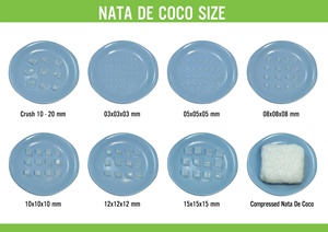 SIROP COMPRIMÉ CRU SAVEUR DE FRUITS GELÉE DE NOIX DE COCO DU VIET NAM/ NATA DE COCO pour DESSERT/ Lily - Product Image 3