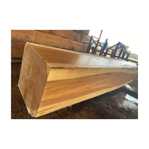 Grumes de bois Pachy de qualité à l'exportation Bois dur dense, durable et robuste - Product Image 5