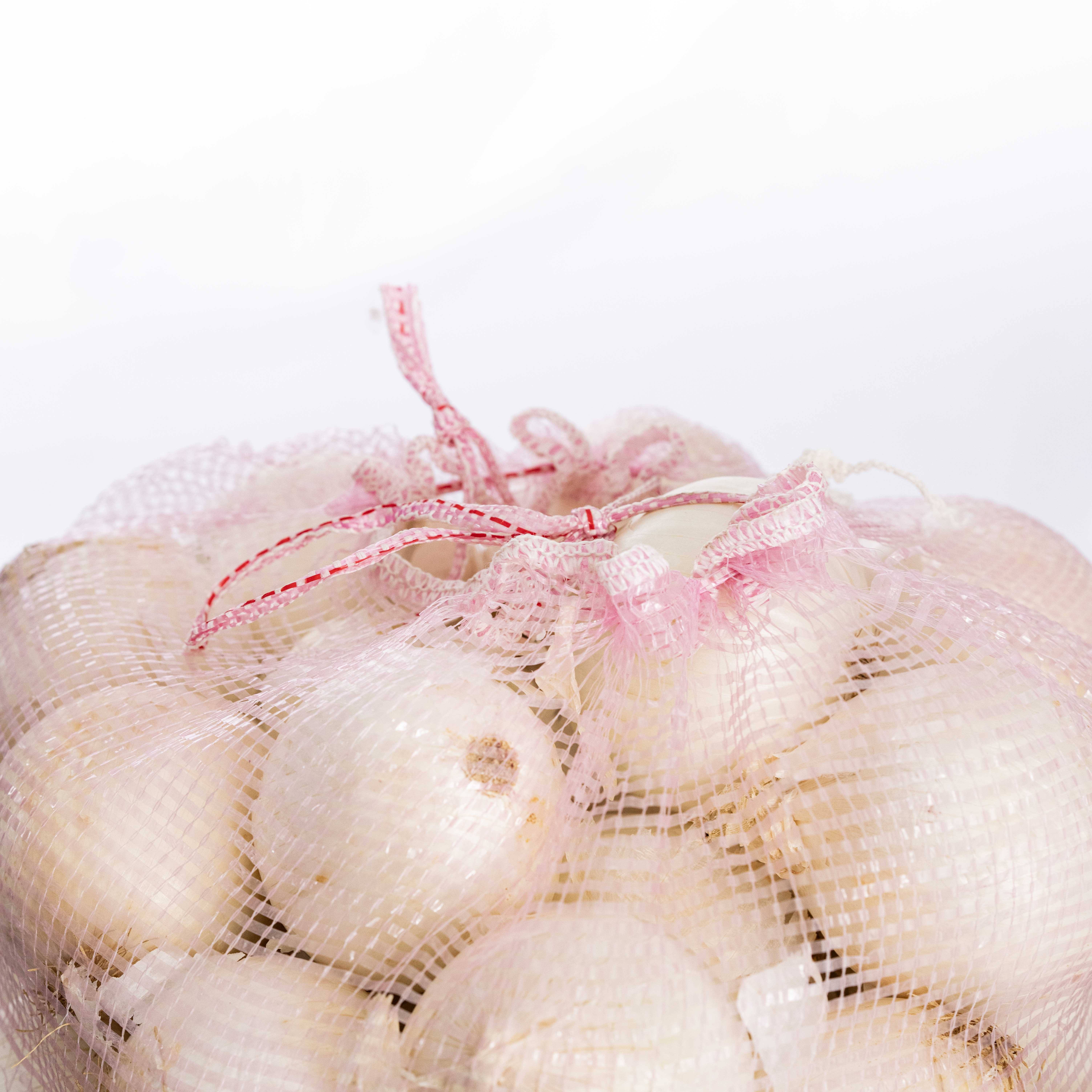 เฟรสซา คลาร์