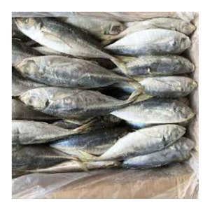 Export Quality Grade IQF/LQF Frozen Trout Fish Whole Low-Fat Processed Packed Global Buyers Cooking <b>Grilling</b> Retail Sales 2 Year - Product Image 3