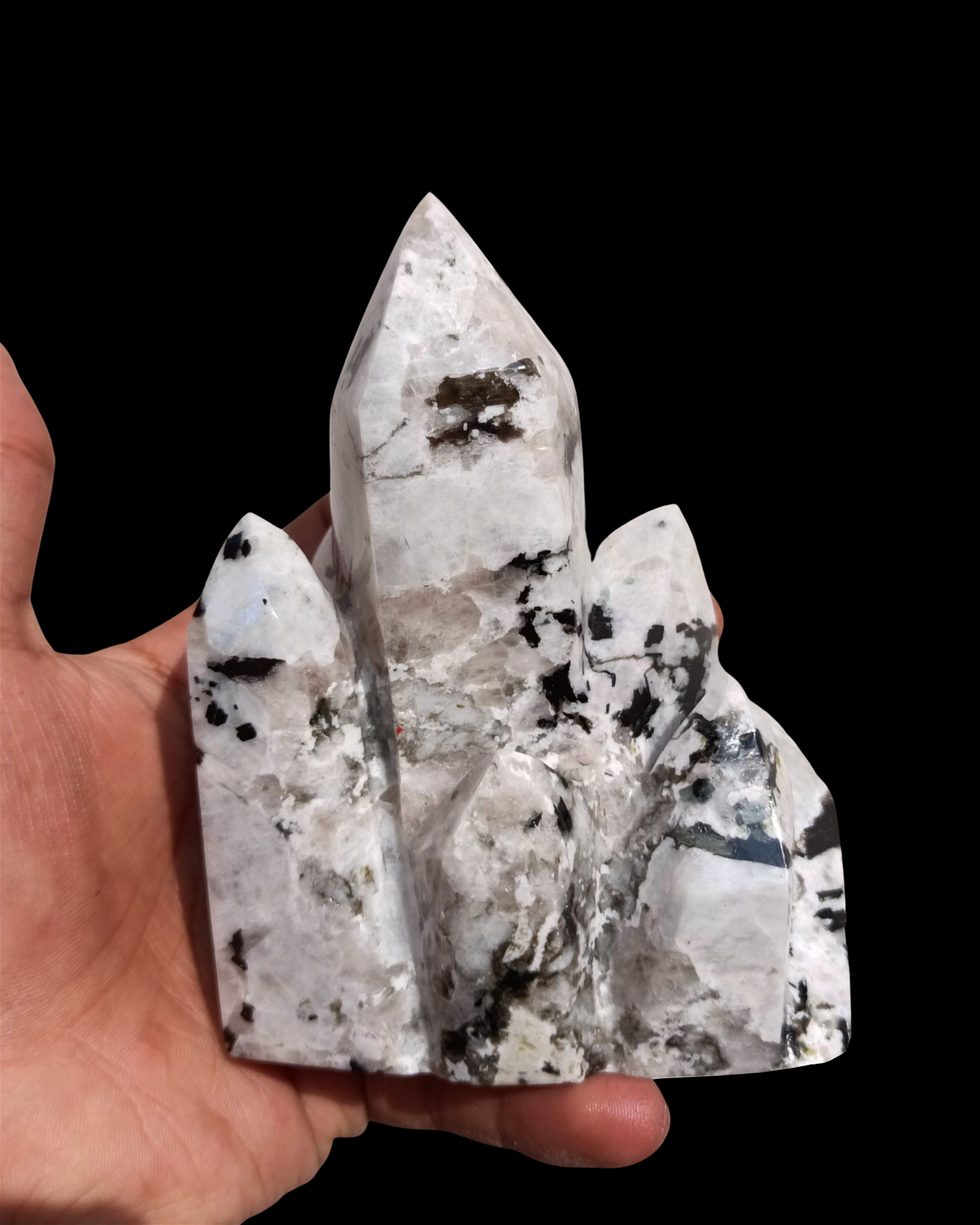 สีขาวและสีดำ