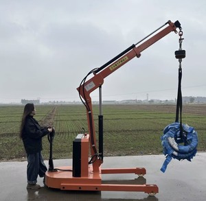 Mini Grúa de 1 Tonelada de Capacidad con Bomba, Componente Principal, Equipo de Construcción Nuevo - Product Image 5