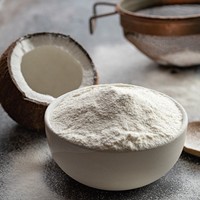 Meilleure vente de poudre de noix de coco saine farine de coco prix bon marché pour la fabrication de boissons d'eau de lait de noix de coco du Vietnam