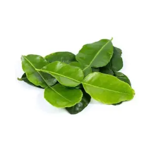 Freezing Lemon leaf young lime leave for spicy