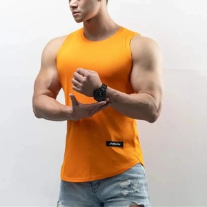 new gym <b>Training</b> Tank Top <b>Men's</b> Sports T-shirt Summer Thin Mesh Breathable Fitness Running <b>vest</b> Quick Drying Sleeveless Tops - Product Image 1