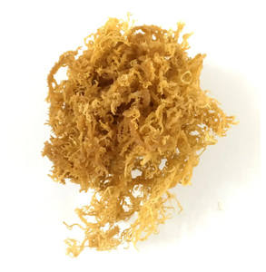 [Viet Nam Product] White/Golden/Purple <b>Sea</b> <b>Moss</b> With Competitive Price/Top Quality 100% <b>Raw</b> <b>Sea</b> <b>Moss</b> From Vietnam - Product Image 3