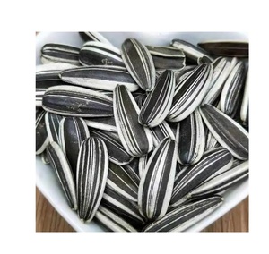 Graines de tournesol biologiques de haute qualité, fraîchement torréfiées et séchées pour l'usage alimentaire, en vrac, emballées en sacs - Product Image 3