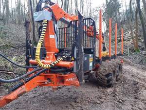 Remorque forestière avec grue à grumes Livraison gratuite - Product Image 4