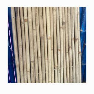 Bâtons de bambou Moso traités Piquets d'arbre en bambou droits Grands poteaux de bambou Canne Origine au Vietnam - Product Image 1