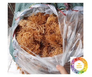 Sea Moss Vietnam Premium Exportación a granel Secado Eucheuma Cottonii Irish Seaweed Superfood Alta potencia Piel Bienestar Digestión Venta - Product Image 2