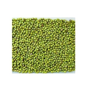 Frijoles Mung Verdes / Frijoles Vigna Mung de Primera Calidad, Frijoles Mung Naturales Convencionales Verdes - Product Image 2