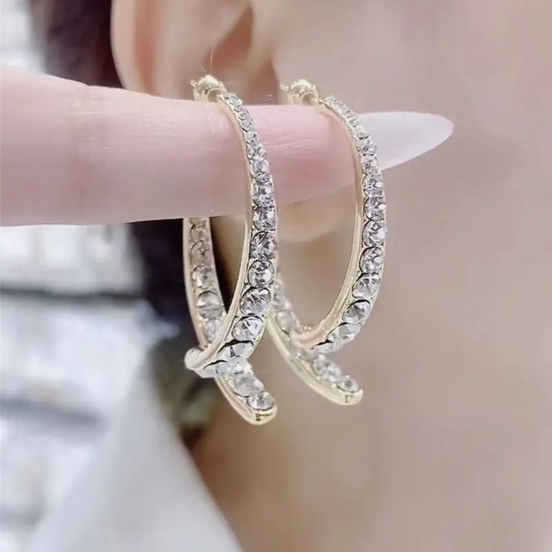 2023 Trendy Stainless Steel Jewelry Hoop Earrings Fancy S925 Sterling Silver Round Vintage Earrings For Women