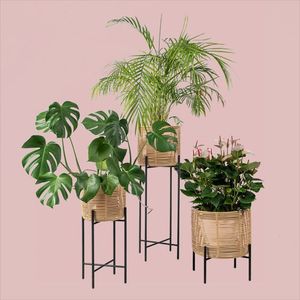 Support d'affichage élégant de pot de jardinière en rotin et en fer pour la maison, l'intérieur et l'extérieur. - Product Image 5