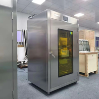 Nouvelle boîte de passage en acier inoxydable 304 de classe 100 GMP VHP avec lampe au xénon et filtre HEPA pour laboratoire de microbiologie, hôpital