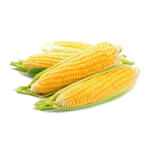 Maíz Amarillo Belga al por Mayor a Precio Económico para Consumo Humano - Product Image 5