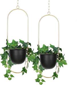 Комплект из 2 прочных металлических подвесных полок для растений Pioneera Model PH2507 с порошковым покрытием, современный держатель для растений для дома, окна, потолка, стены - Product Image 1