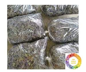 ขายใบงาดำแบบพรีเมี่ยม: ชิโซสีเขียวบริสุทธิ์และบริตตันใบเพริล่าคุณภาพสูงในอัตราที่ดีที่สุดสำหรับตลาดการค้าจำนวนมาก - Product Image 3