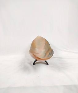 Cuenco de Cuerno de Búfalo Natural Hecho a Mano de Alta Calidad, Diseño Náutico Animal Elegante, Ecológico, GM Impex, Pulido, Gran Venta en Europa - Product Image 5