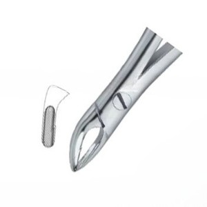 Pince à extraire les dents dentaires Fig76 Produits avec logo personnalisé de qualité supérieure Instruments dentaires en acier inoxydable de haute qualité - Product Image 5