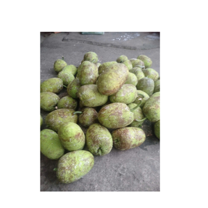 Corossol congelé pour préserver la fraîcheur et le goût pour le mélange dans les boissons tropicales et les plats de fruits réfrigérés - Product Image 6