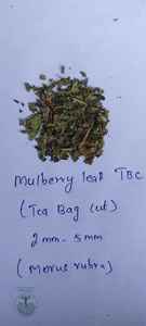 Las hojas de morera secas más vendidas (Morus Alba) Cortadas en bolsitas de té (TBC)/Cortadas en té () para infusiones de hierbas a granel - Product Image 4