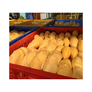 ชาผลไม้ทุเรียนตากแห้งปราศจากน้ำมันทุเรียนใช้เลือกรสชาติได้โดยตรงจากโรงงาน - Product Image 3