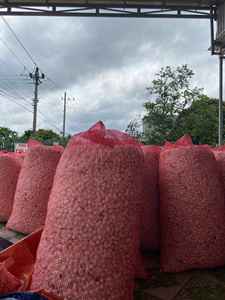 GUARDIANYUE - Guata de Seda o Algodón de Seda al por Mayor para Acolchado y Aislamiento de Ropa de Invierno - Product Image 4