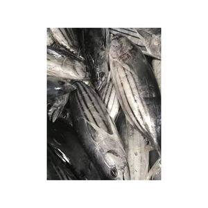 פירות ים טריים דגים קפואים טונה פסים 1.5 ק "ג עד - Product Image 2